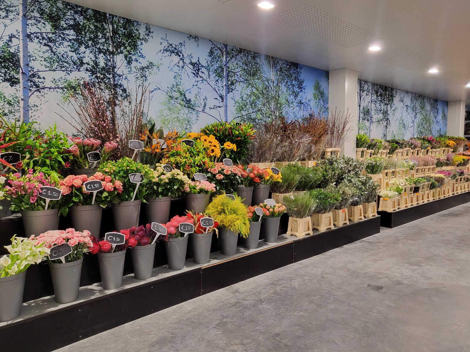 Afbeedling Snijbloemen - Spekvoordeel.nl