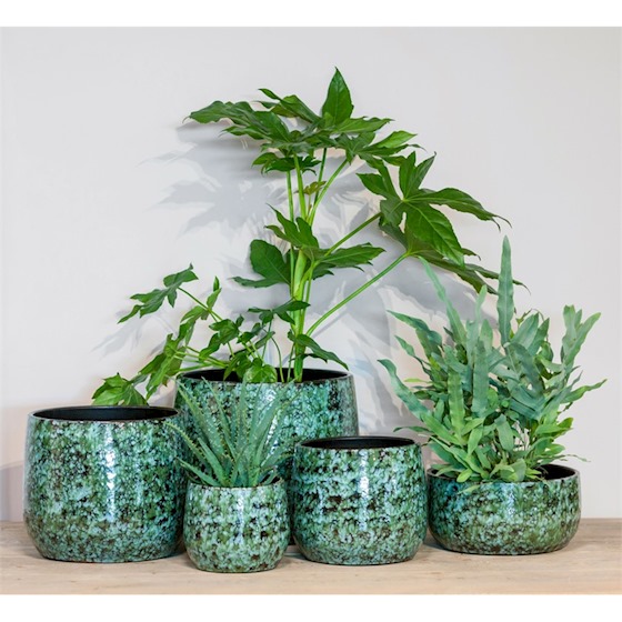 Binnenpot Bejo groen - Afbeelding 2