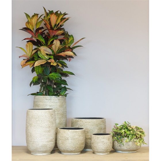 Binnenpot Aveiro wit - Afbeelding 2