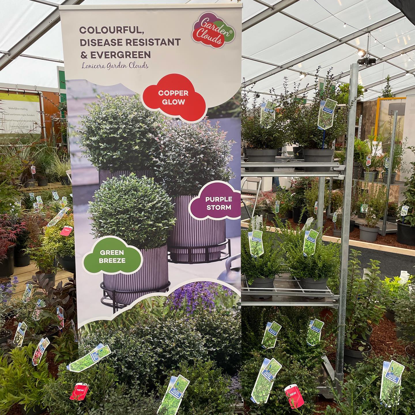 Afbeelding bij nieuwsbericht - Najaarsbeurs tuinplanten opgekocht = Tot wel 50% korting - Spekvoordeel.nl