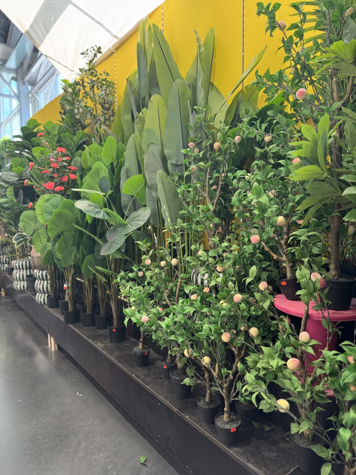 Zijden planten - Afbeelding 3