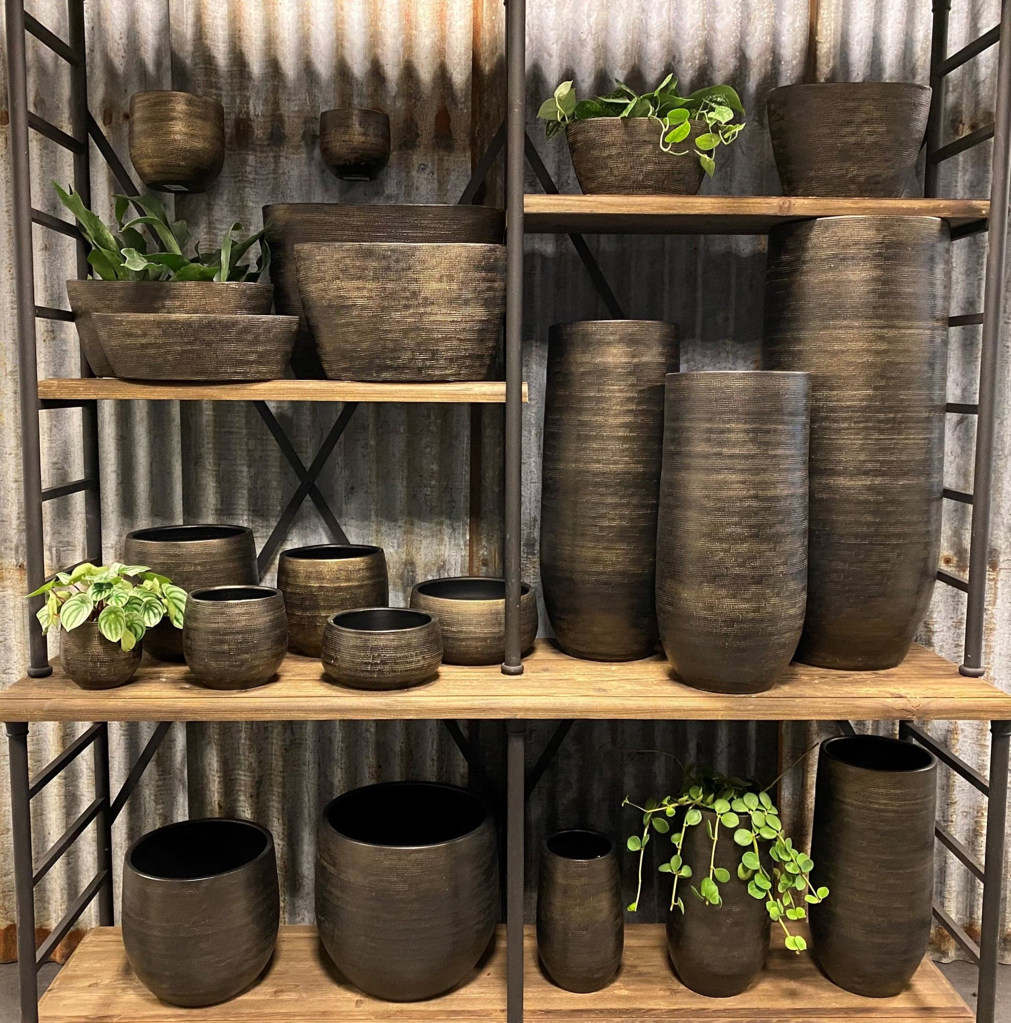Binnenpot Tokio groen - Afbeelding 4