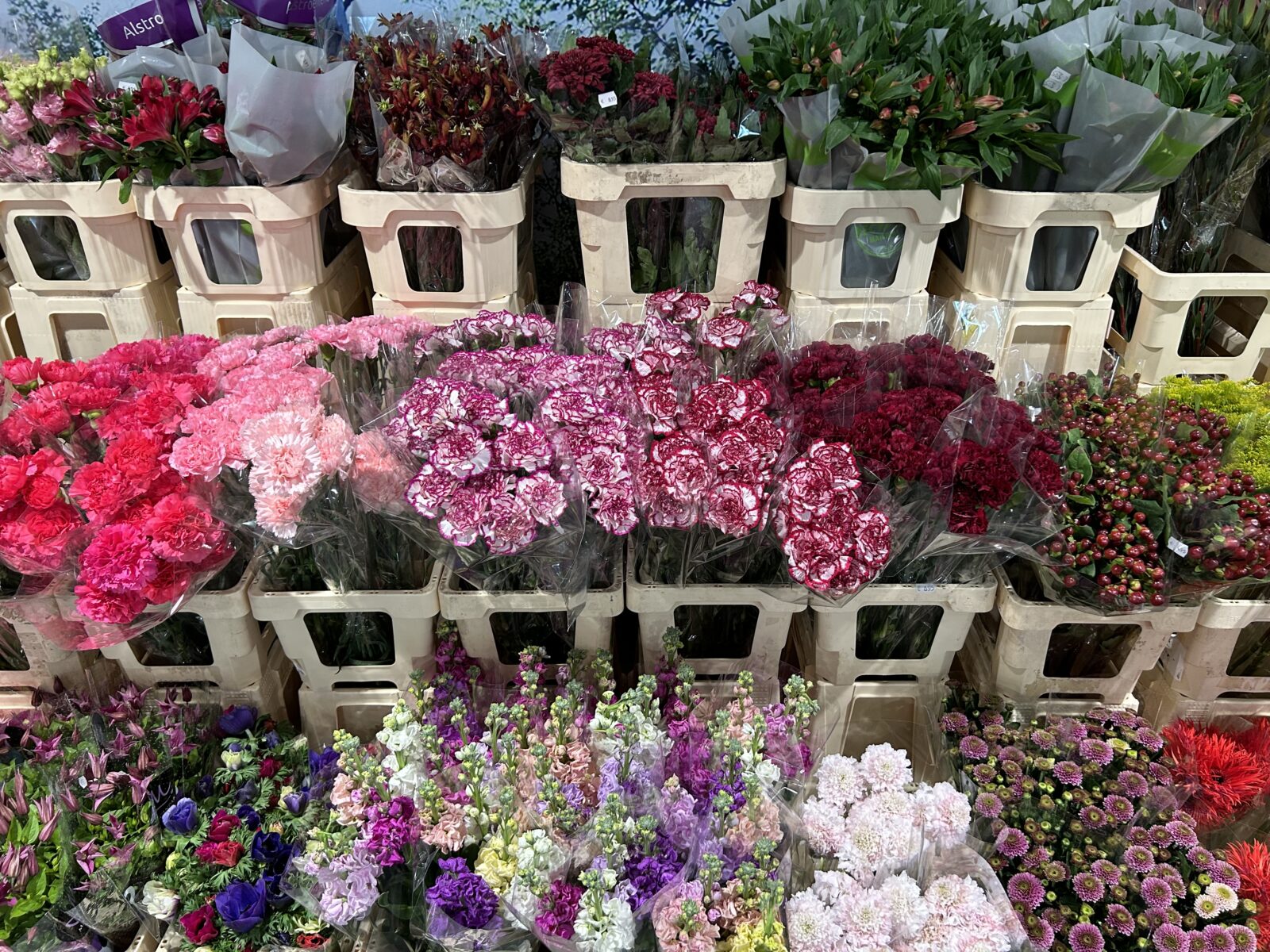 Snijbloemen - Afbeelding 4