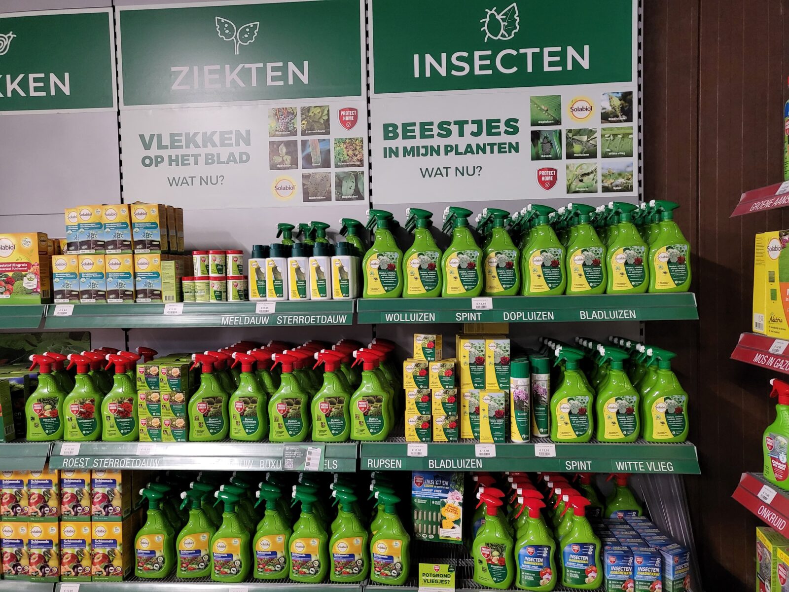 Afbeedling Ziekten in gewas - Spekvoordeel.nl
