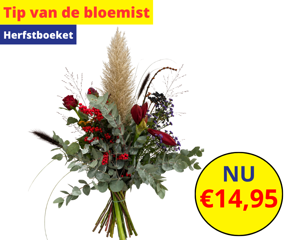 Tip van de bloemist