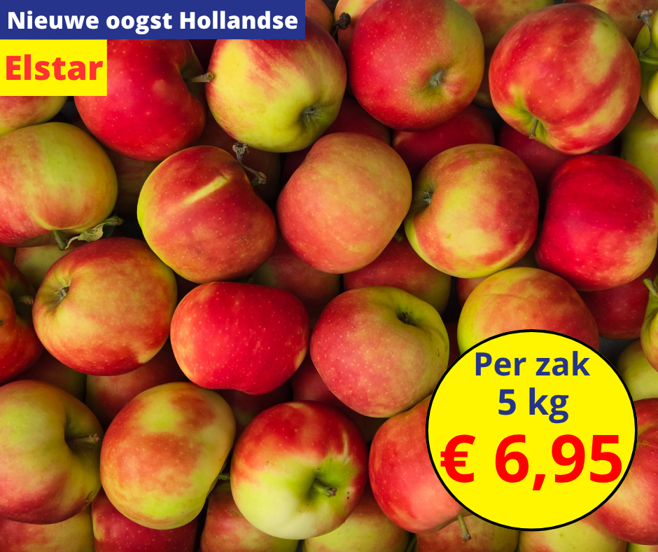 Nieuwe oogst Hollandse Elstar appels